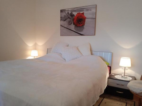 Fonyódi Centrum Apartman, Fonyod
